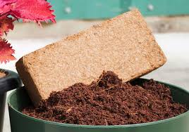 Coco Peat Briquette